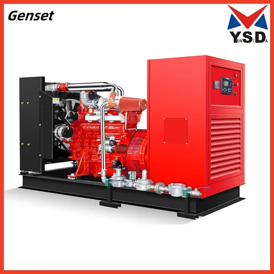  90kw 50Hz 1500rpm Dual Fuel/Diesel/Hydrogen/Wood Gas/Nitrogen/Turbine/Biogas/Biomass/Sewage/Coke Commins Engine Gas Generator Set Natural Gas Generator